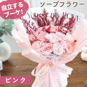 zB  \[vt[ ԑ uX^hXC[gV{ 14փu[Pv Iׂ 5J[  u[P ͂Ȃ a v[g  t[Mtg   a 