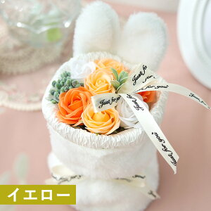 zB \[vt[ ԑ 7 t@[rbgX^hu[P Iׂ 3J[  ӂӂ u[P  a v[g AE  t[Mtg  a q j v