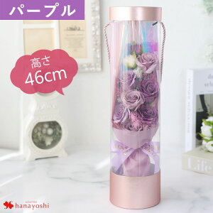 zB \[vt[ ԑ uO\[vt[u[Pv u[P  a v[g  ͂Ȃ Mtg v[g     a J@j \ \