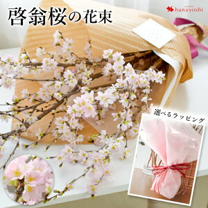 サクラ 花束の通販 価格比較 価格 Com