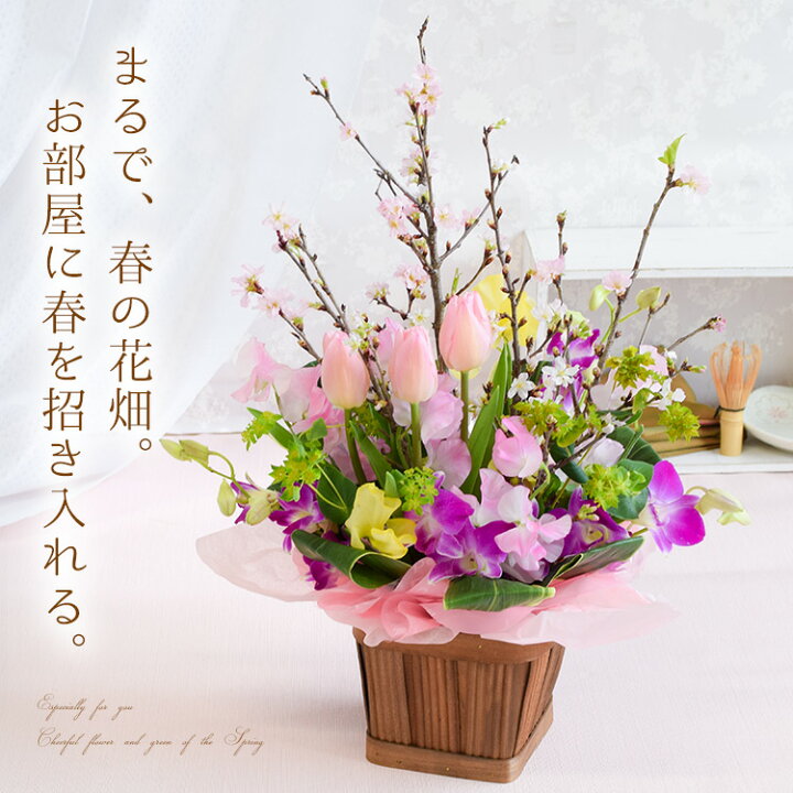 楽天市場 桜と春の花の生花アレンジ さくら日和おうち花見 お部屋でお花見 送料無料 チューリップ スイートピー デンファレフラワーアレンジメント花 誕生日 プレゼント 女性 母 祖母 退職祝い 定年 先生 お花 卒業祝い フラワーギフト 1月31日 3月25日までお届け
