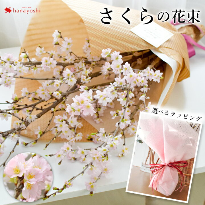 楽天市場 桜 花束 お家でお花見 送料無料 桜の花束 選べるギフトラッピング 1 31 3 で指定ok 花 春 ギフト サクラ咲く さくら お祝い 花 誕生日 プレゼント 女性 祖母 母 フラワーギフト 送別会 退職祝い 定年 男性 上司 合格祝い 卒業祝い お花 卒業式 おうち花見 楽天市場 桜 花束 お家でお花見 送料無料 桜の花束 選べるギフトラッピング 1 31 3 で指定ok 花 春 ギフト サクラ咲く さくら お祝い 花 誕生日 プレゼント 女性 祖母 母 フラワーギフト 送別会 退職祝い 定年 男性 上司 合格祝い 卒業祝い お花 卒業式 おうち花見