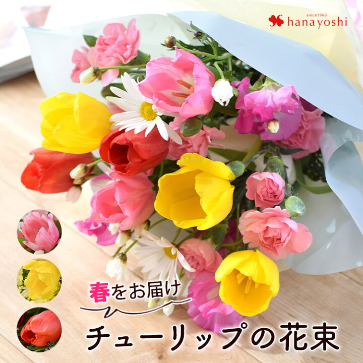 楽天市場 春をお届け チューリップの花束 送料無料 ブーケ 2 4 3 までお届け チューリップ スイートピー 花束 誕生日 プレゼント 母 祖母 女友達 定年 退職祝い 女性 男性 父 送別 上司 合格祝い 卒業祝い 卒園祝い 花 卒業式 フラワーギフト お祝い お花