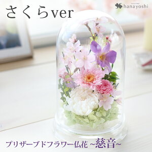 �����z�B ������ �� ���� �v���U�[�u�h�t�����[ �h�[�� �u�z�� �v�u�����v ���d�p �~�j���d ���d �͂�Ȃ� �A�����W ������� �t�����[�A�����W �u���U�[�h�t�����[ ���� �������� �l�\��� 