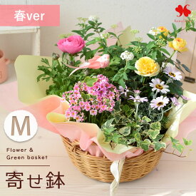 季節のおまかせ 花鉢とグリーン の寄せ入れ Mサイズ フラワーバスケット 鉢植え 鉢花 観葉植物 フラワーギフト お誕生日 お花 ギフト 花 誕生日 プレゼント 女性 お祝い おしゃれ 祖母 男性 土日も発送 退職祝い 開店祝い 母の日