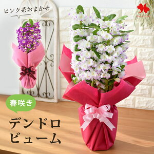 A Mtgp t̗m fhrE bsOĂ͂ 1/31`3/31͂܂ sNn fhr[  a v[g Mtg j i Nj j ij җj 