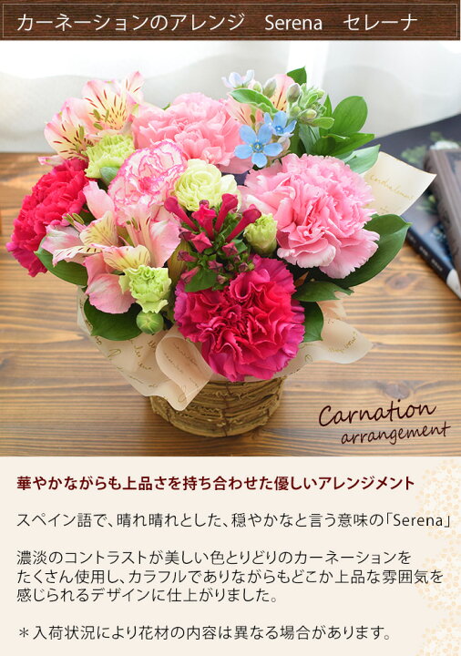 楽天市場 冷蔵便 でお届け 誕生花を使ったフラワーアレンジメント Sサイズ 5月 カーネーション誕生日 花 ギフト 誕生日プレゼント 女性 母 祖母 女友達 義母 父 男性 祖父 卒寿 米寿 還暦 古希 喜寿 祝い 還暦祝い フラワーギフト アレンジメントフラワー お誕生日 お花