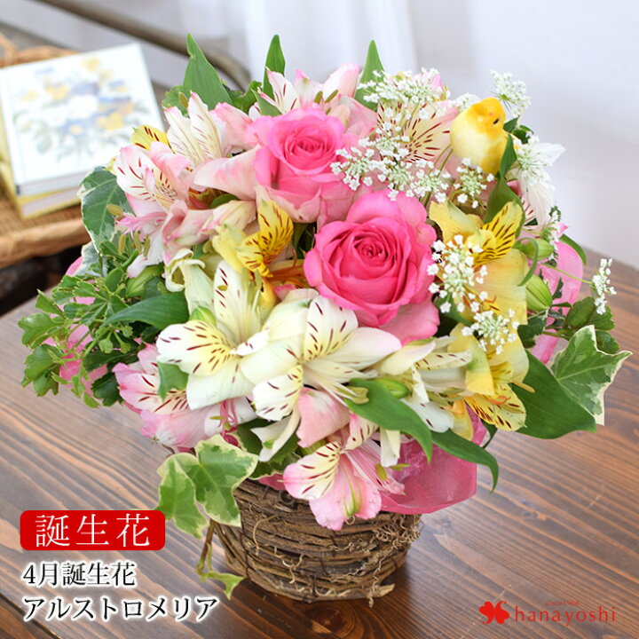 楽天市場 誕生花を使ったフラワーアレンジメント Sサイズ 4月 アルストロメリア誕生日 花 ギフト 誕生日プレゼント 女性 母 祖母 女友達 義母 父 男性 祖父 卒寿 米寿 還暦 古希 喜寿 祝い 還暦祝い フラワーギフト アレンジメントフラワー お誕生日 お花 フラワー