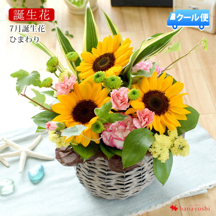楽天市場 クール便でお届け 誕生花を使ったフラワーアレンジメント Sサイズ 6月 カラー 7月 ひまわり誕生日 花 ギフト 誕生日プレゼント 女性 母 祖母 女友達 義母 父 男性 祖父 卒寿 米寿 還暦 古希 喜寿 祝い 還暦祝い ギフト アレンジメントフラワー お誕生日 お花 楽天市場 クール便でお届け 誕生花を使ったフラワーアレンジメント Sサイズ 6月 カラー 7月 ひまわり誕生日 花 ギフト 誕生日プレゼント 女性 母 祖母 女友達 義母 父 男性 祖父 卒寿 米寿 還暦 古希 喜寿 祝い 還暦祝い ギフト アレンジメントフラワー お誕生日 お花