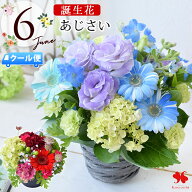 【6/4 20時SS×5倍】[冷蔵便]でお届け 誕生花 フラワーアレンジメント 6月 あじさい 紫陽花 誕生月 の 生…