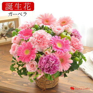 生花 ガーベラ 花の人気商品 通販 価格比較 価格 Com