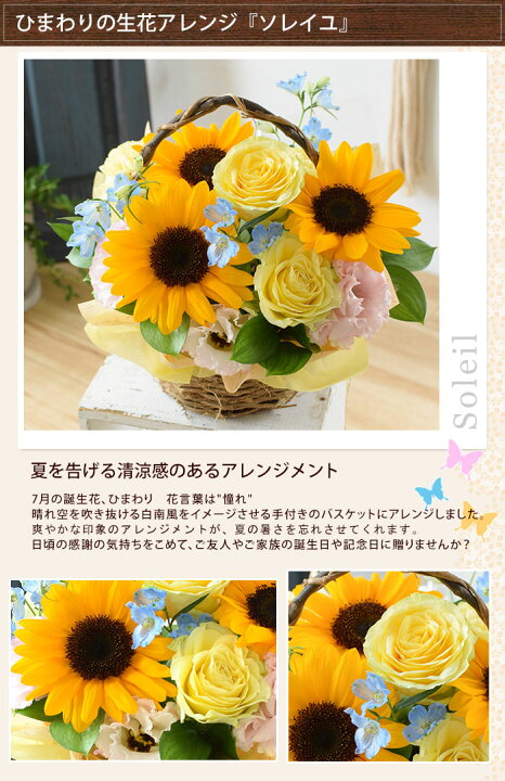 楽天市場 クール便でお届け 誕生花を使ったアレンジメント 7月 ひまわり 8月 アンスリウム 生花アレンジmサイズ 誕生日プレゼント 女性 母 祖母 義母 女友達 男性 父 花 誕生日 お祝い フラワー ギフト お誕生日 お花 米寿 古希 還暦 喜寿 祝い 還暦祝い 誕生日ギフト