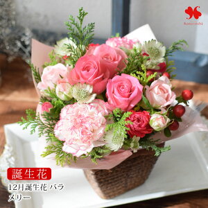 zB  AWg v[g G߂̂܂  AW o[ t[AWg  j a a  FB  Mtg N ސEj JXj