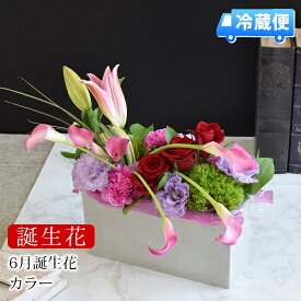 楽天市場 米寿 フラワーアレンジメント 花 観葉植物 花 ガーデン Diyの通販