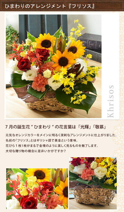 楽天市場 クール便でお届け 誕生花を使ったフラワーアレンジメント Lサイズ 6月 カラー 7月 ひまわり お誕生日 お花 誕生日 プレゼント 花 女性 母 義母 祖母 お祝い ギフト アレンジメントフラワー お花 傘寿 卒寿 米寿 還暦 古希 喜寿 祝い 還暦祝い 父 男性 誕生日 楽天市場 クール便でお届け 誕生花を使ったフラワーアレンジメント Lサイズ 6月 カラー 7月 ひまわり お誕生日 お花 誕生日 プレゼント 花 女性 母 義母 祖母 お祝い ギフト アレンジメントフラワー お花 傘寿 卒寿 米寿 還暦 古希 喜寿 祝い 還暦祝い 父 男性 誕生日