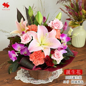 zB a g t[AWg u[P 10  a  ԃAW ԑ a j a   Mtg v[g av[g AW AW