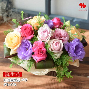 zB a g t[AWg u[P 11 K[x 12 o a  ԃAW ԑ a j a   Mtg v[g av[g AW