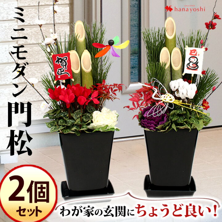 楽天市場】門松 一対のミニモダン門松 2個セット 華やか 寄せ植え 