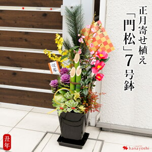 玄関 花 寄せ植えの人気商品 通販 価格比較 価格 Com 玄関 花 寄せ植えの人気商品 通販 価格比較 価格 Com