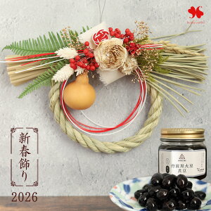 2026 V ߏ }tMtg Og哤ϓ  ߓ Og a  ԏ Ǌ|      }t Mtg v[g ~Mtg Ε N 