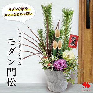  叼 2026  X^CbVȃ_叼` 叼 񂹐A n叼  叼   _  N Ε Mtg    ֏ }t 