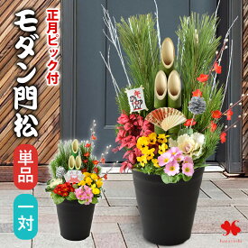 数量限定 正月 門松 玄関 新年が華やぐ 「モダン門松」 手植え 選べる 70cm 55cm 正月飾り お正月飾り 寄せ植え 仕立て 正月花 お正月 お正月後は寄せ植えに変身 干支 凧ピック付 玄関用 迎春 モダン 縁起物 お年賀 ギフト 花飾り おしゃれ 午年 マンション 松 2026 一対 も