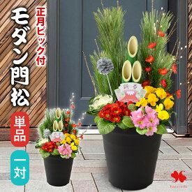 数量限定 正月 門松 玄関 新年が華やぐ 「モダン門松」 手植え 選べる 70cm 55cm 正月飾り お正月飾り 寄せ植え 仕立て 正月花 お正月 お正月後は寄せ植えに変身 干支 凧ピック付 玄関用 迎春 モダン 縁起物 お年賀 ギフト 花飾り おしゃれ 午年 マンション 松 2026 一対 も