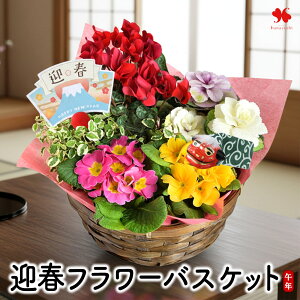 N͂    }tt[oXPbg 񂹓 2026     AW  _ 񂹔 Mtg }t p  }t VN A N t[