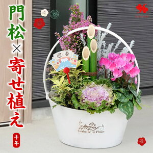   叼 񂹐A  ~FS    _  N Ε Ε Mtg  A    ԏ ߔN ֏  hA }t