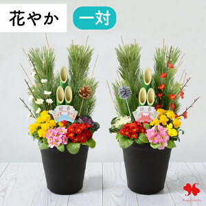 ���ʌ��� ���� �叼 ���� �V�N���؂₮ �u���_���叼�v ��A�� �I�ׂ� 70cm 55cm �������� ���������� �񂹐A�� �d���� ������ ������ ��������͊񂹐A���ɕϐg ���x ���s�b�N�t ���֗p �}�t 