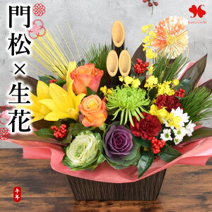  叼   AWg  uԗFTv    {[Ղ  AW }t  t[AWg ԃAW   