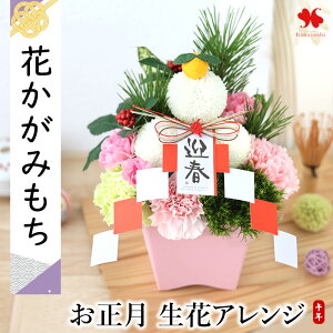    AWg ݂  ~j 叼   2026  t[AWg AW  _  Mtg N }t AWg ԏ