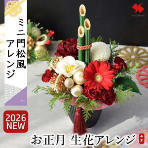    AWg Ԃ ݂  ~j 叼   2026  t[AWg AW ԃAW  _  Mtg ߔN }t 