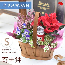 最短発送 季節のおまかせ 花鉢 と グリーン の 寄せ入れ Sサイズ フラワーバスケット 鉢花 鉢植 鉢植え 植物 ギフト おしゃれ 花 誕生日 お誕生日 プレゼント 女性 母 祖母 結婚祝い 結婚記念日 退職祝い 開店祝い クリスマス お歳暮 お正月 春 愛妻の日