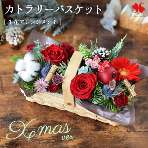 zB  NX}X ver  AWg Mtg t[AWg  uJg[oXPbgv AW  v[g EB^[ a a 蕨 11/14`12/