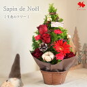 冬限定 お花のツリー サパン・ド・ノエル 冬の花贈り 送料無料 クリスマス クリスマスツリー バラ カーネーション ガーベラ フラワーアレンジメント 花 誕生日 プレゼント クリスマスプレゼント 冬 友達 ツリー お歳暮 御歳暮 冬ギフト お届けは11月13日～12月25日まで