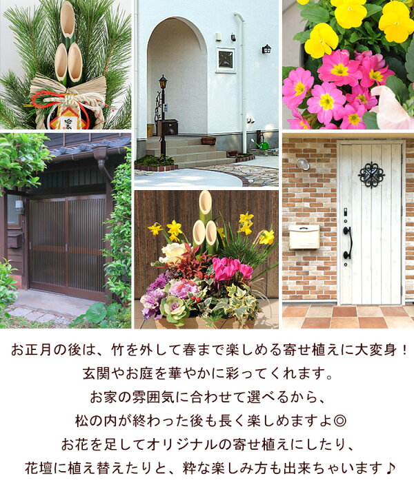 楽天市場 おうちに合わせて 選べる門松 寄せ植え仕立て 門松 寄せ植え 本格門松 ナチュラル門松 創作門松12 26 12 30の間で指定ok お正月 門松 玄関 おしゃれ モダン お正月飾り お年賀 お歳暮 ギフト 花 正月 正月飾り 寅年 玄関飾り 迎春飾り 新年 挨拶 送料無料 楽天市場 おうちに合わせて 選べる門松 寄せ植え仕立て 門松 寄せ植え 本格門松 ナチュラル門松 創作門松12 26 12 30の間で指定ok お正月 門松 玄関 おしゃれ モダン お正月飾り お年賀 お歳暮 ギフト 花 正月 正月飾り 寅年 玄関飾り 迎春飾り 新年 挨拶 送料無料