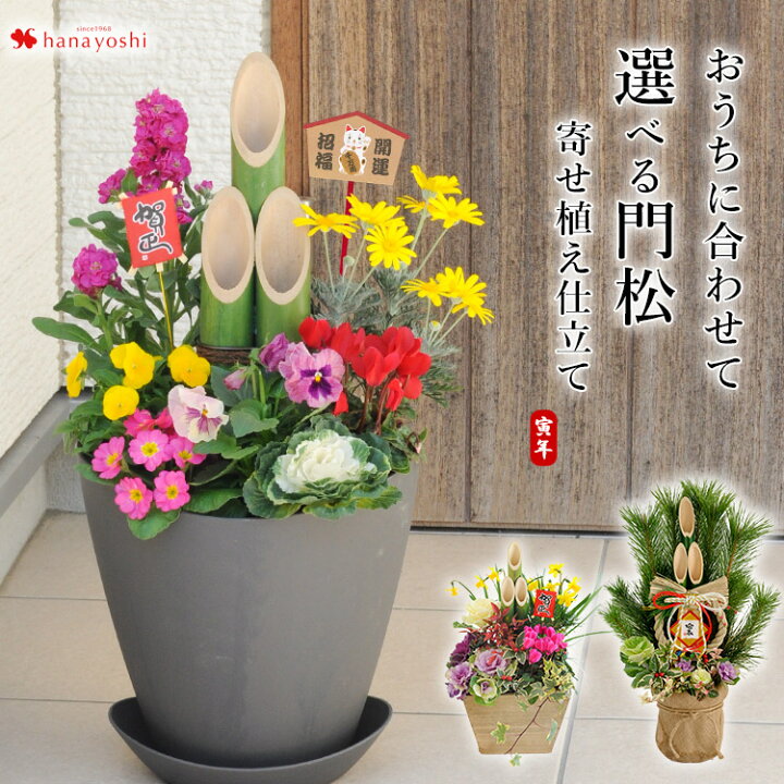 楽天市場 おうちに合わせて 選べる門松 寄せ植え仕立て 門松 寄せ植え 本格門松 ナチュラル門松 創作門松12 26 12 30の間で指定ｏｋ お正月 門松 玄関 おしゃれ モダン お正月飾り お年賀 お歳暮 ギフト 花 正月 正月飾り 寅年 玄関飾り 迎春飾り 新年 挨拶 送料無料