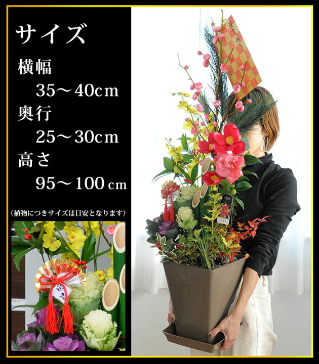 楽天市場】【送料無料】お正月 寄せ植え「門松」8号鉢 12/26〜12/30にお届け 門松 玄関 お歳暮 ギフト 正月 花 正月飾り モダン お年賀 寅年 迎春花 お正月飾り : フラワーマーケット花由 楽天市場】【送料無料】お正月 寄せ植え「門松」8号鉢 12/26〜12/30にお届け 門松 玄関 お歳暮 ギフト 正月 花 正月飾り モダン お年賀 寅年 迎春花 お正月飾り : フラワーマーケット花由