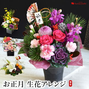 生花 正月 花の人気商品 通販 価格比較 価格 Com 生花 正月 花の人気商品 通販 価格比較 価格 Com