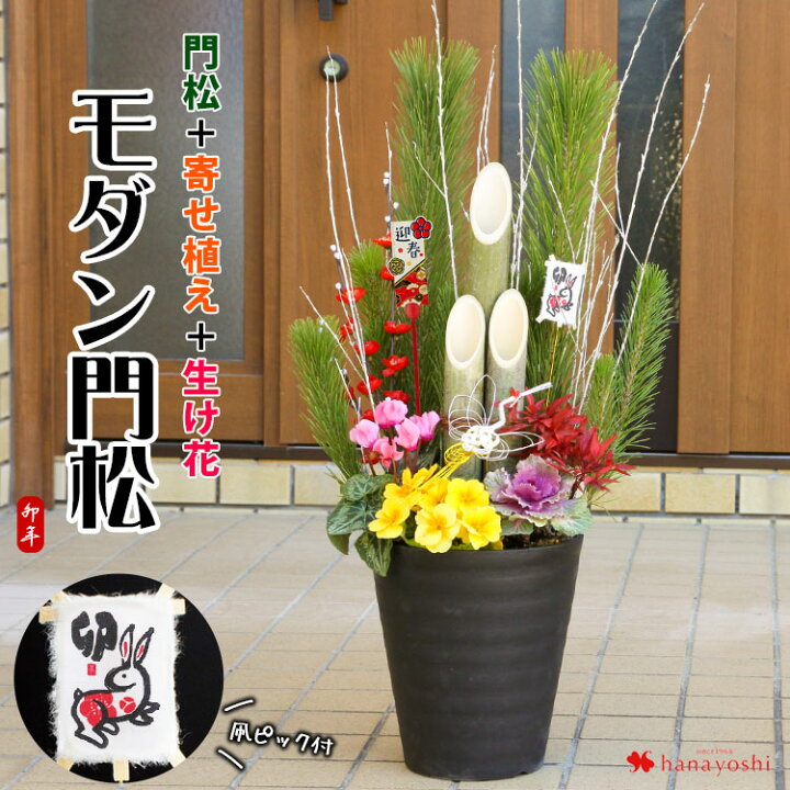 お正月花 飾り 寄せ植え 玄関 8号 玄関花 セラアート鉢 鉢の色が選べる 葉牡丹 入り お歳暮 ギフト 花の寄せ植え 贈り物 送料無料 Kc 160o Okabe Green Jewelryplant 通販 お正月寄せ植え Vrm Mx