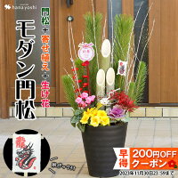 早得11/30まで配布中 お正月 迎春 モダン門松 お花も入った寄せ植え仕立て 門松 玄関 寄せ植え お正月飾り モダン 花 正月飾り お歳暮 お年賀 ギフト 徳島産天然青竹使用 干支の龍ピックプレゼント
