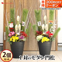 配布中 一対の迎春 お正月 モダン門松～お花も入った寄せ植え仕立て 2個分送料無料＆さらにお得 干支の龍ピックをプレゼント
門松 玄関 正月 花 正月飾り お正月飾り 年賀 ギフト 辰年
