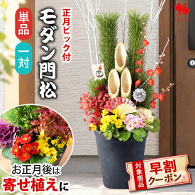 【早割クーポン配布中】お正月 2027 正月 門松 玄関 お正月 後は 寄せ植え に！ 「モダン門松」単品 または 一対 手植え 選べる 70cm 80cm 正月飾り 玄関用 正月花 お正月 干支 モダン 縁起物 お年賀 ギフト 花飾り おしゃれ 未年 送料無料 12/26～12/30の間でお届け