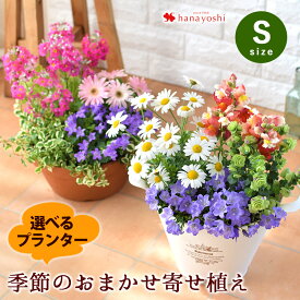 【19周年★全商品P5倍】プランターが選べる 季節のおまかせ 寄せ植え S 旬のお花をたっぷり寄せ植え 鉢植え フラワーギフト 花 鉢花 お祝い 誕生日 プレゼント 母 新築祝い 玄関 友人 お誕生日 お花 結婚祝い 開店祝い 引っ越し祝い ガーデニング 母の日 プレゼント お母さん