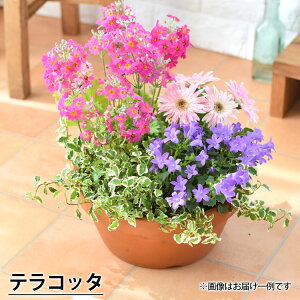 v^[Iׂ G߂̂܂ 񂹐A S {̂Ԃ̊񂹐Ai A t[Mtg   Ԕ ԕc j a v[g   Fl a  j LO