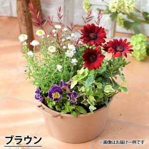 v^[Iׂ G߂̂܂ 񂹐A S {̂Ԃ̊񂹐Ai A t[Mtg   Ԕ ԕc j a v[g   Fl a  j LO