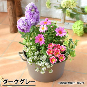 v^[Iׂ G߂̂܂ 񂹐A S {̂Ԃ̊񂹐Ai A t[Mtg   Ԕ ԕc j a v[g   Fl a  j LO