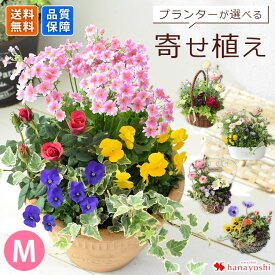 プランターが選べる 季節のおまかせ 寄せ植え M 旬のお花をたっぷり 鉢植え フラワーギフト 花 鉢花 花鉢 花苗 お祝い 誕生日 プレゼント 女性 玄関 お誕生日 お花 祝い ガーデニング 結婚記念日 退職祝い 開店祝い 合格祝い 送別 母の日
