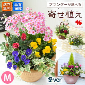 プランターが選べる 季節のおまかせ 寄せ植え M 旬のお花をたっぷり 鉢植え フラワーギフト 花 鉢花 花鉢 花苗 お祝い 誕生日 プレゼント 女性 玄関 お誕生日 お花 祝い ガーデニング 結婚記念日 退職祝い 開店祝い 冬ギフト お歳暮 御歳暮
